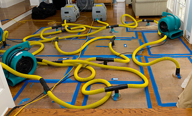 Professional Water Damage Restoration technician working in Auburn, NY